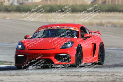 media/Oct-21-2023-Speed Ventures (Sat) [[ddf75163c5]]/Green/Grapvine/